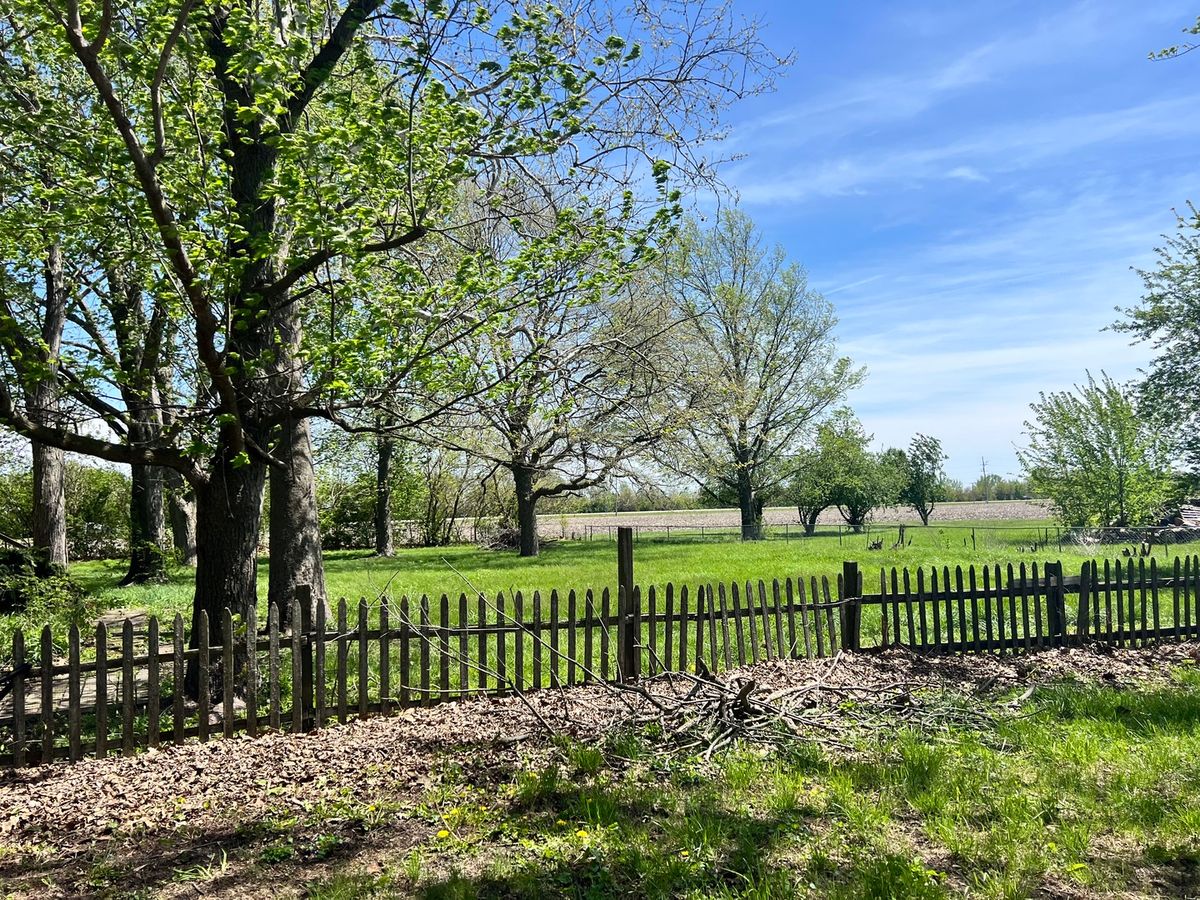 313 Woodworth Drive, Tolono, IL 61880