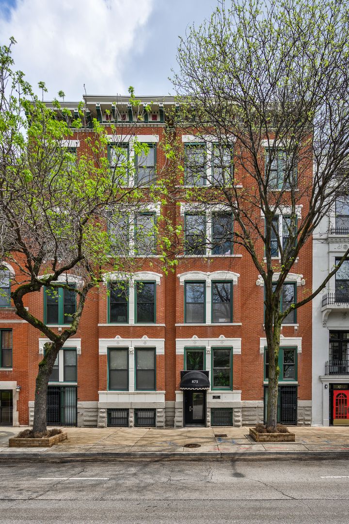 875 N La Salle Drive #2S — Chicago, IL 60610
