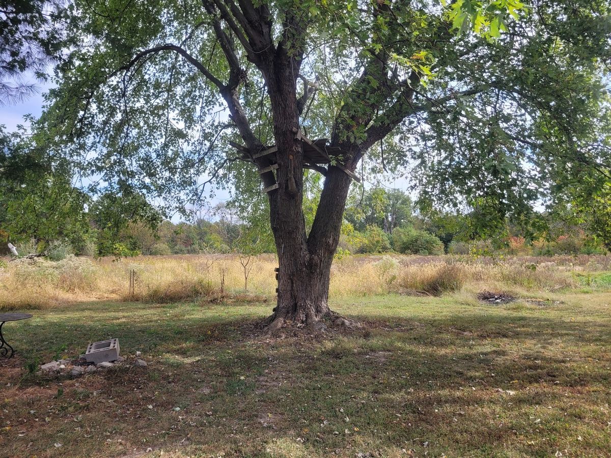 10270 N Reynolds Lane, Mt Vernon, IL 62864