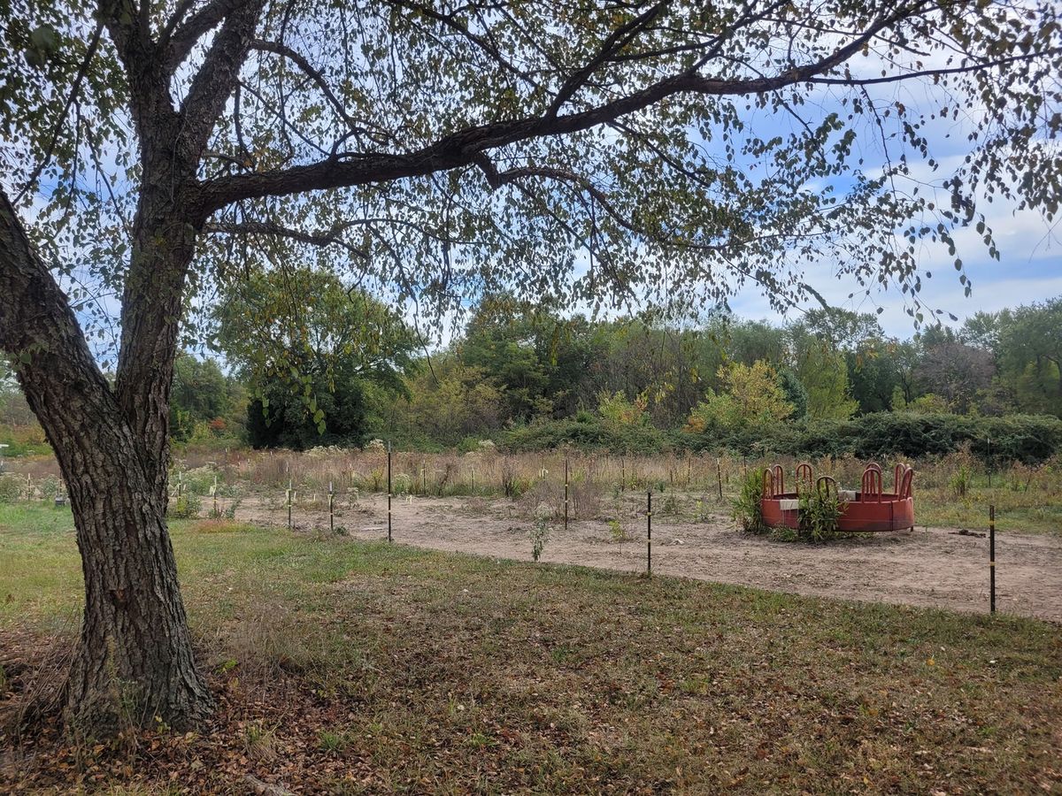 10270 N Reynolds Lane, Mt Vernon, IL 62864