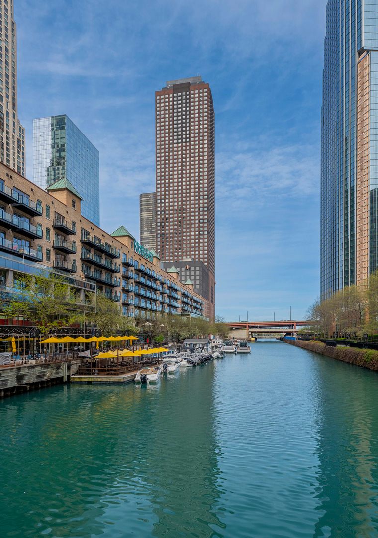 474 N Lake Shore Drive #2007 — Chicago, IL 60611