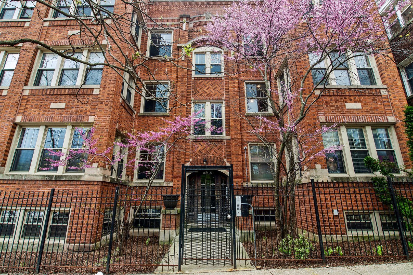 1623 W North Shore Avenue #3 — Chicago, IL 60626