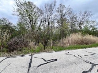 17W246 Red Oak Street — Bensenville, IL 60106