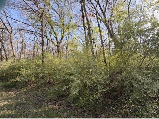 26 Catalina Drive, Putnam, IL 61560