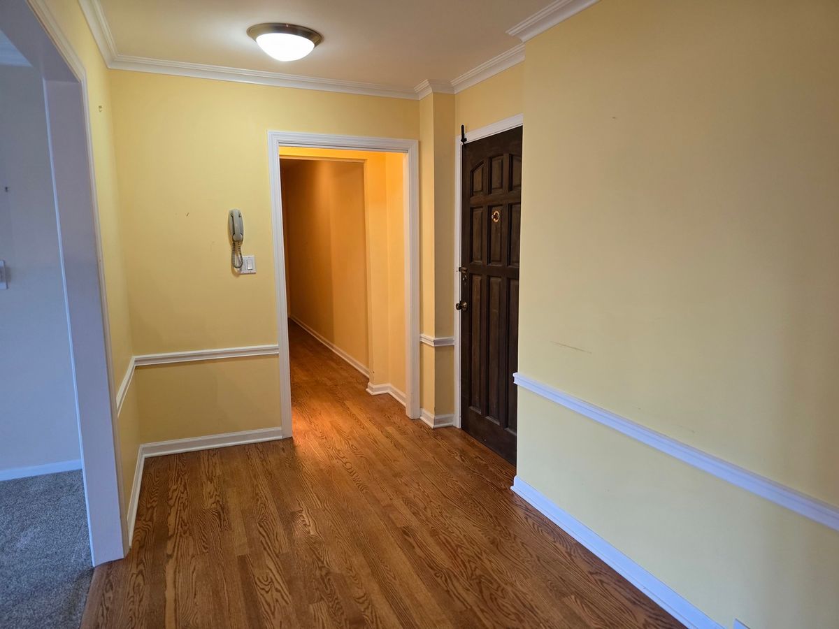 1005 Bonnie Brae Place #5F, River Forest, IL 60305