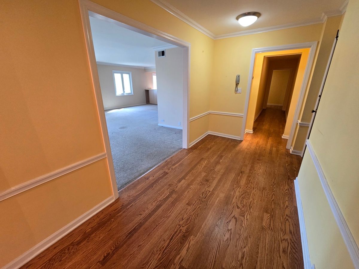1005 Bonnie Brae Place #5F, River Forest, IL 60305