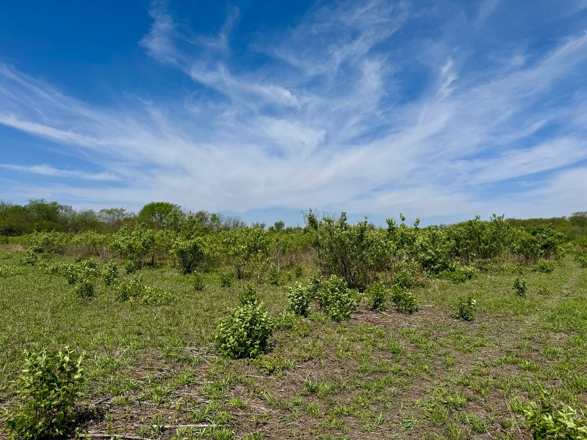 000 Kankakee Street, Reddick, IL 60961