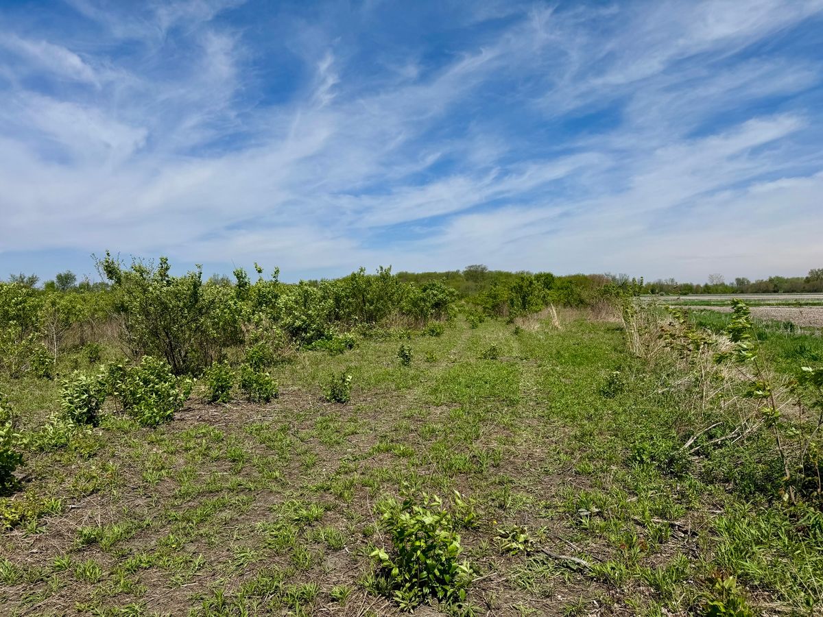 000 Kankakee Street, Reddick, IL 60961