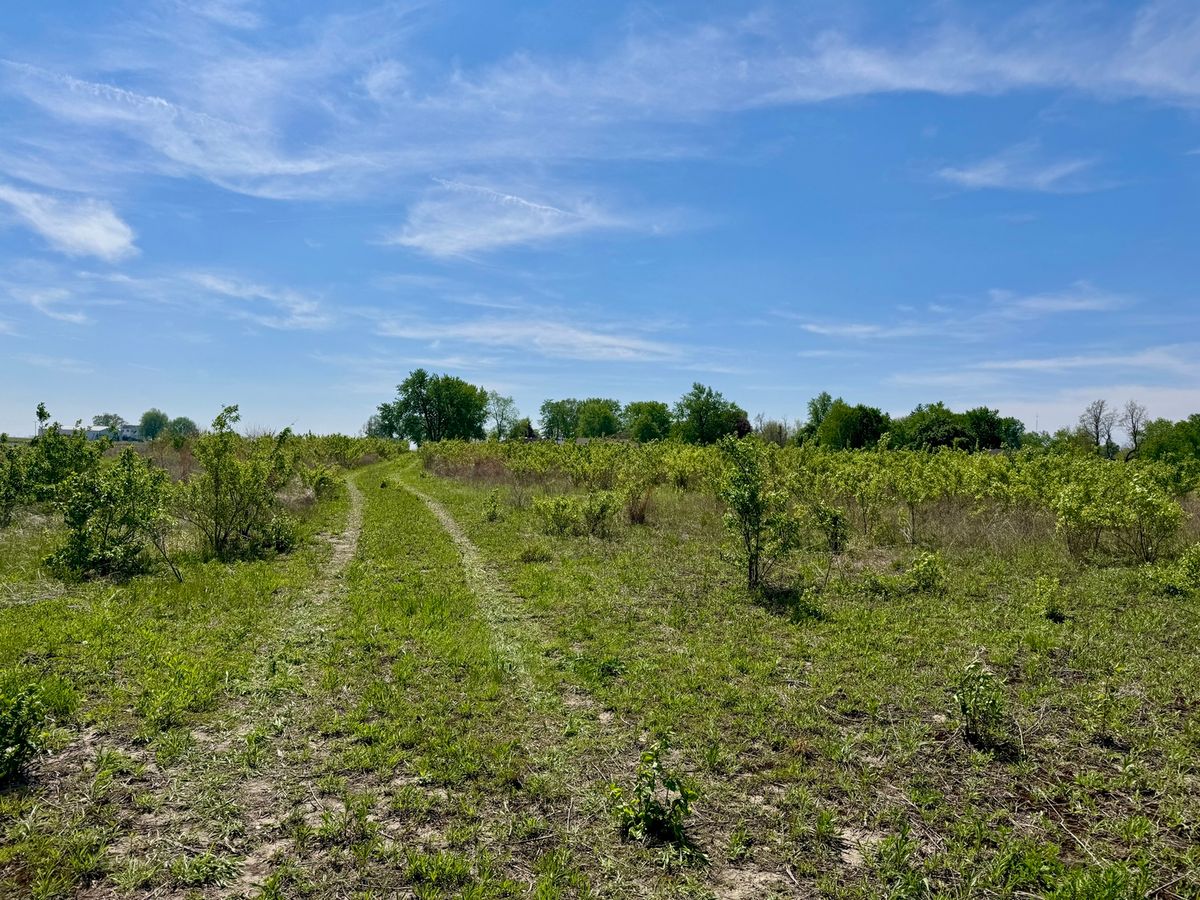 000 Kankakee Street, Reddick, IL 60961