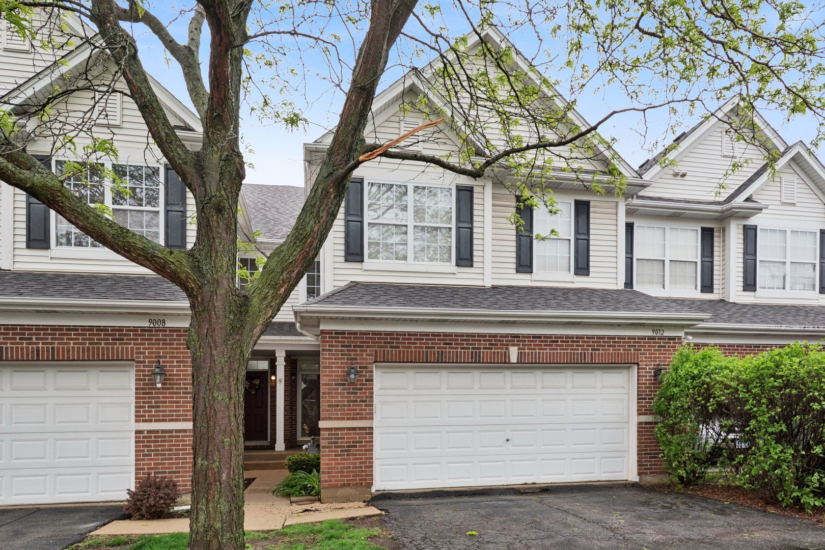 9012 Buckingham Park Drive — Des Plaines, IL 60016
