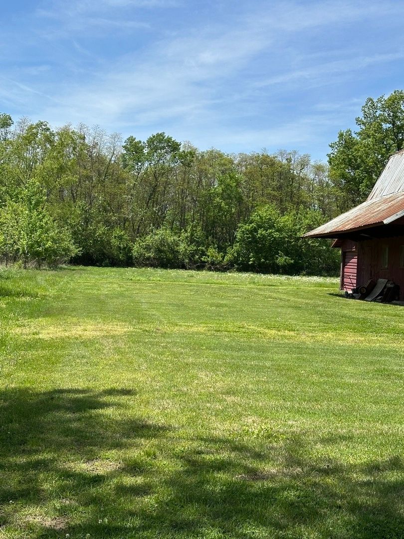 23407 US Highway 51 Highway, Elkville, IL 62932