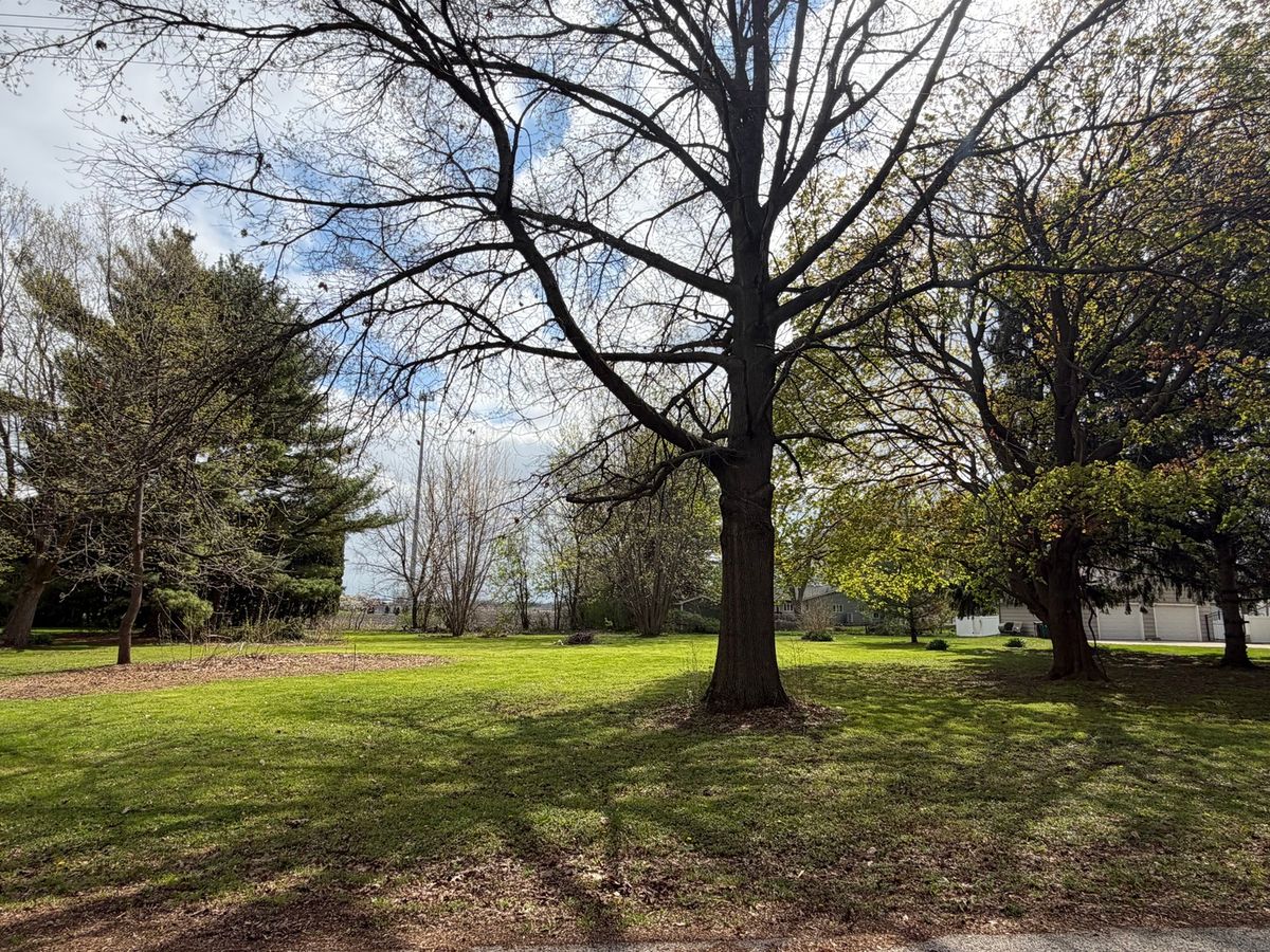 0 Jefferson Avenue, Big Rock, IL 60511