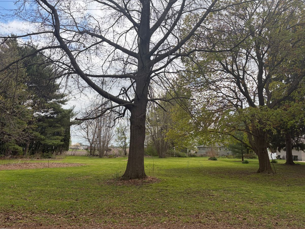 0 Jefferson Avenue, Big Rock, IL 60511