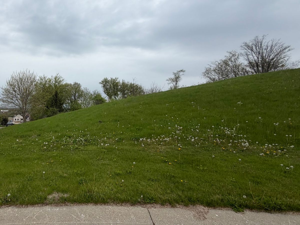 7010 Wildflower Court, Spring Grove, IL 60081
