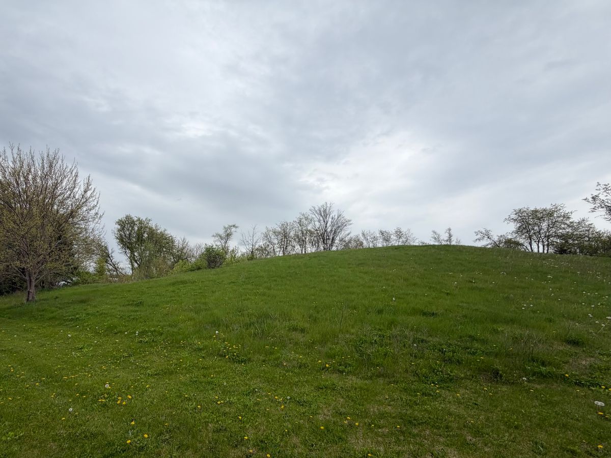 7010 Wildflower Court, Spring Grove, IL 60081