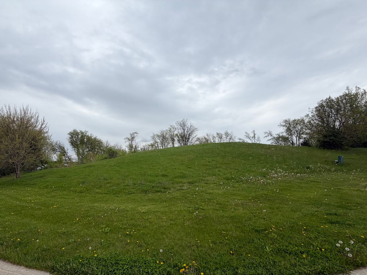 7010 Wildflower Court, Spring Grove, IL 60081