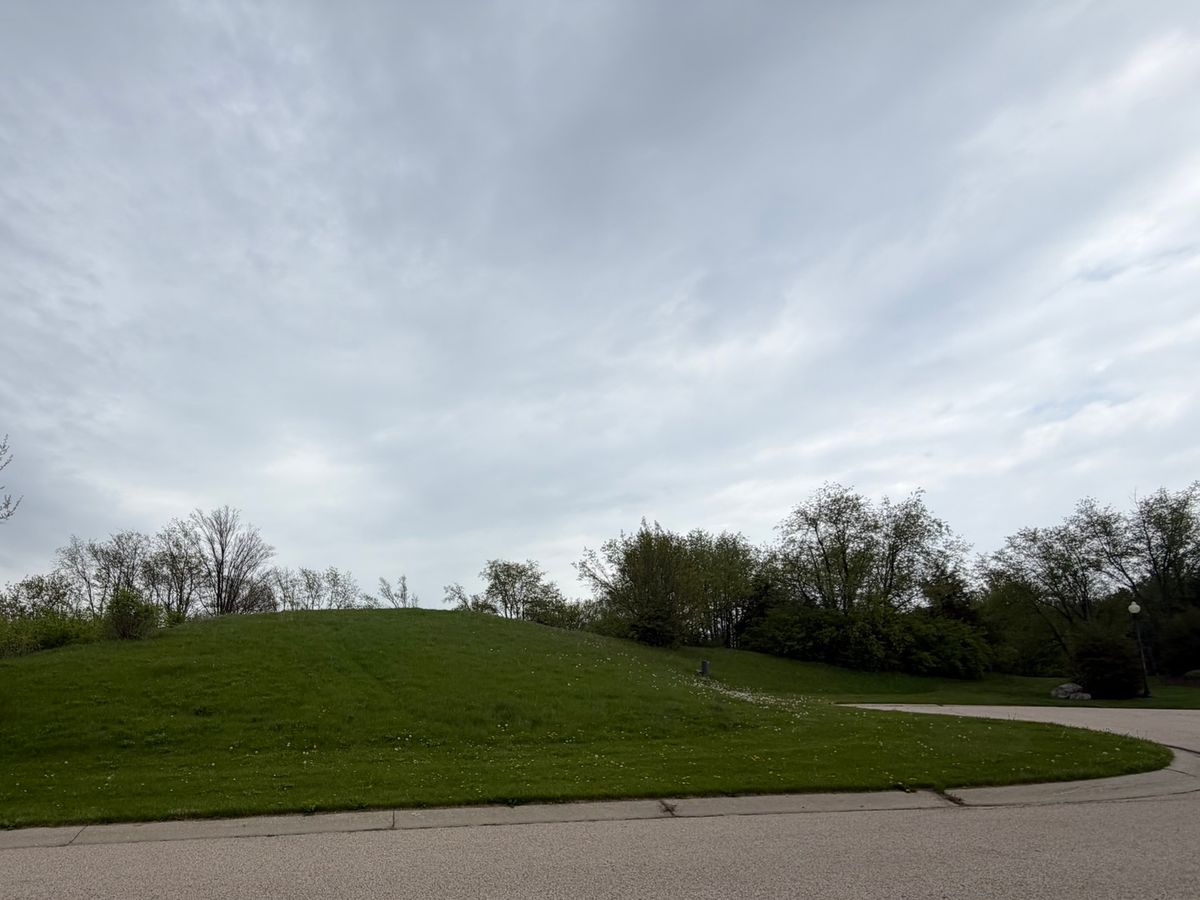 7010 Wildflower Court, Spring Grove, IL 60081