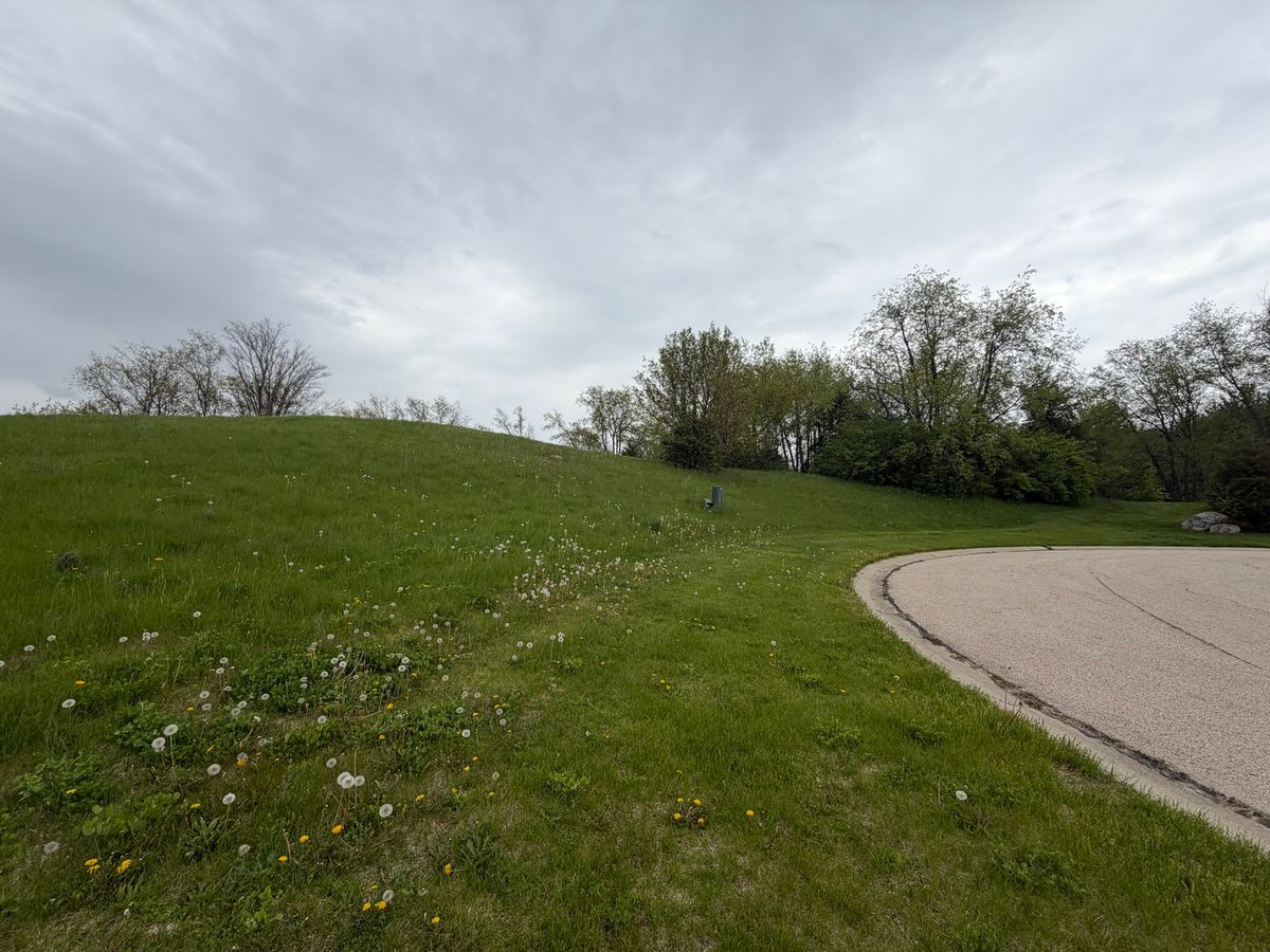 7010 Wildflower Court, Spring Grove, IL 60081