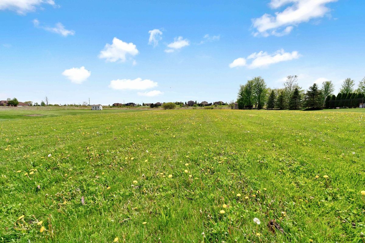 10127 W Tall Grass Lane, Monee, IL 60449