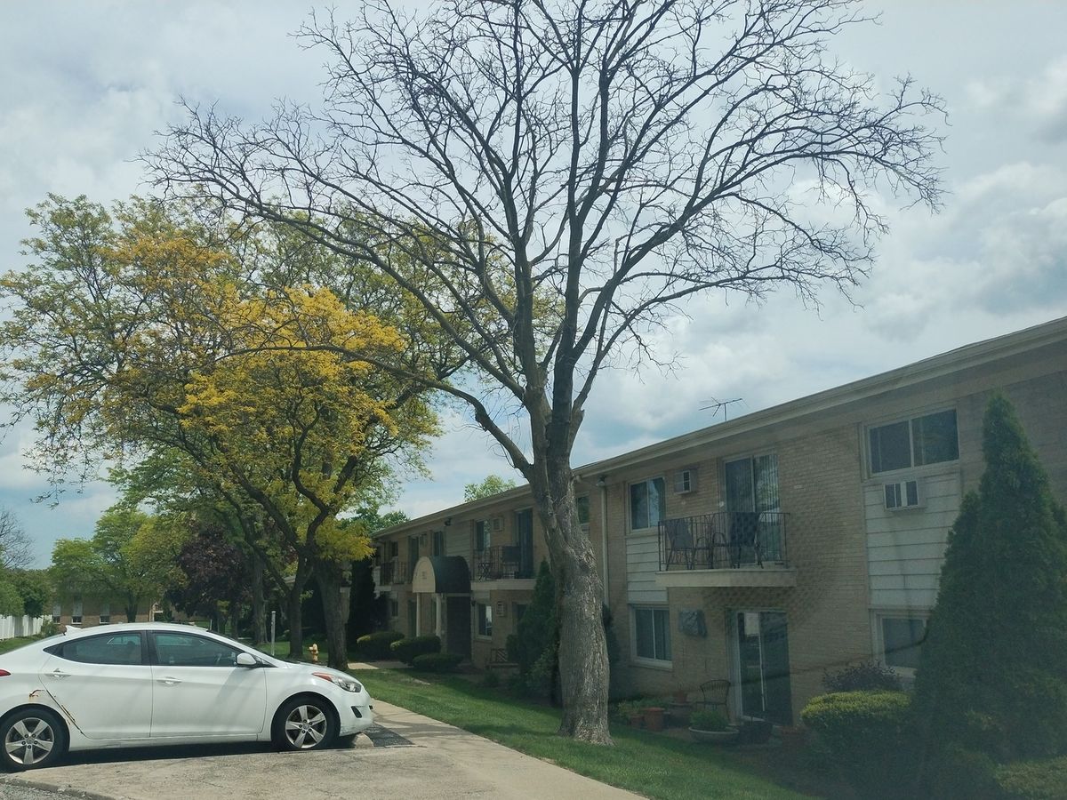 551 Carlysle Drive #2, Clarendon Hills, IL 60514