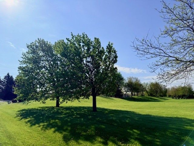 4702 Patty Lane, Ringwood, IL 60072