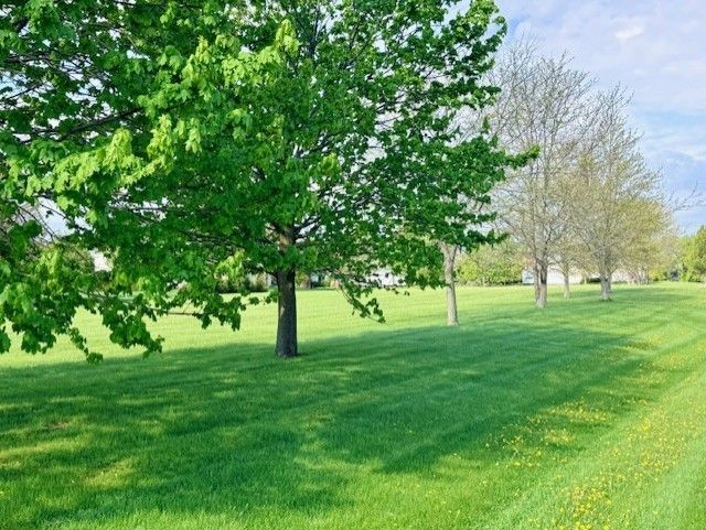 4702 Patty Lane, Ringwood, IL 60072