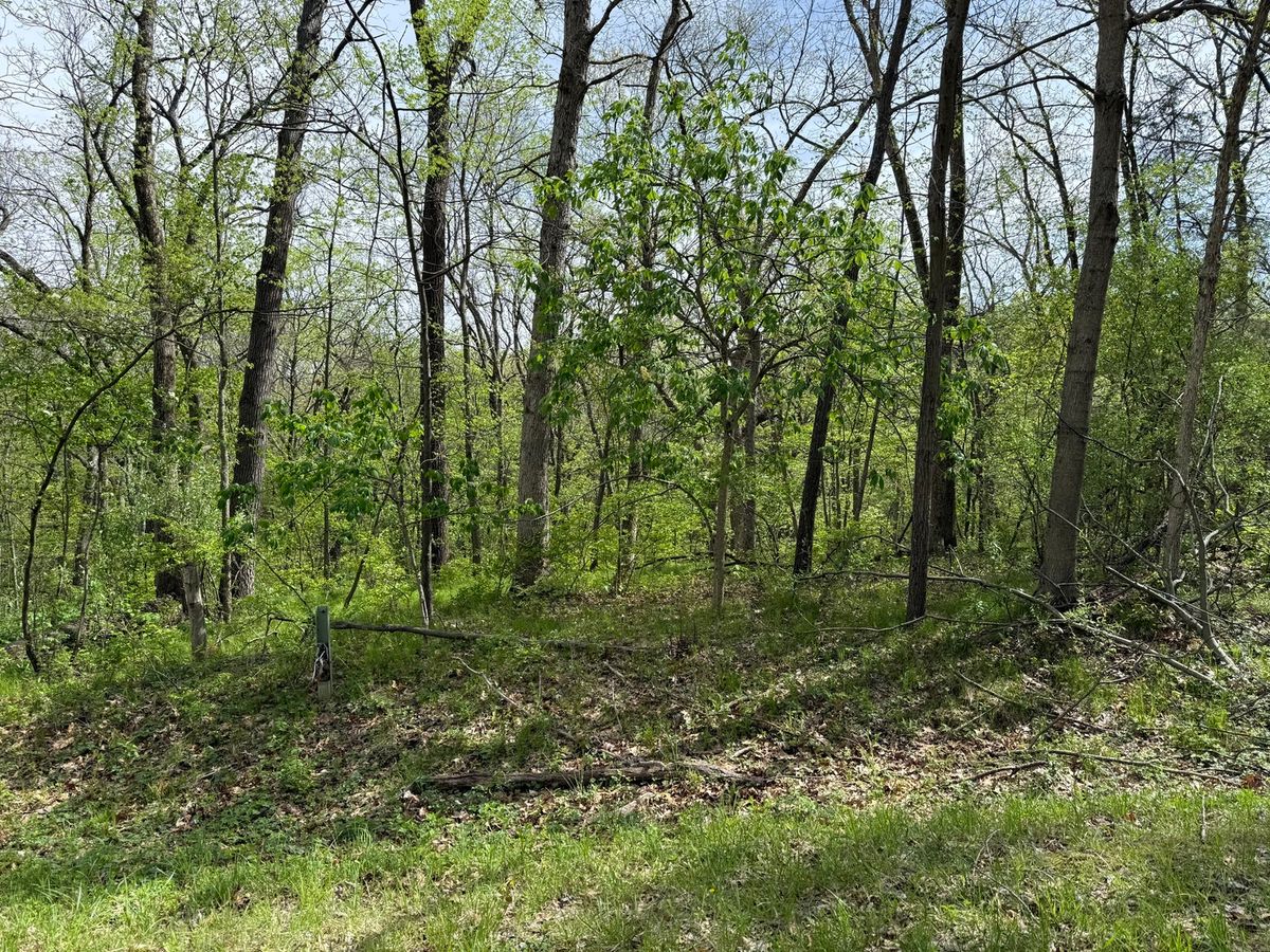 12 Navajo Court, Putnam, IL 61560