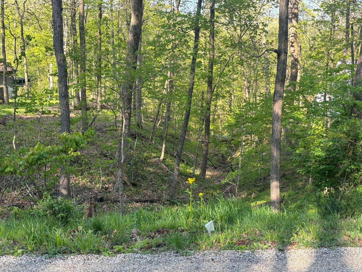 1829 Tanglewood Drive, Varna, IL 61375