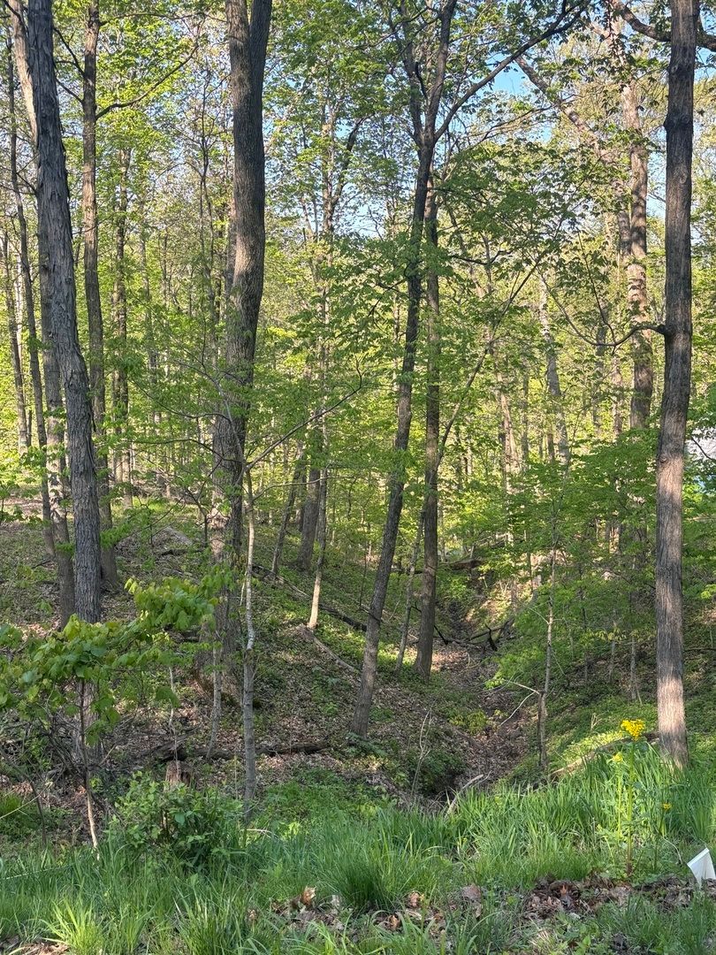 1829 Tanglewood Drive, Varna, IL 61375