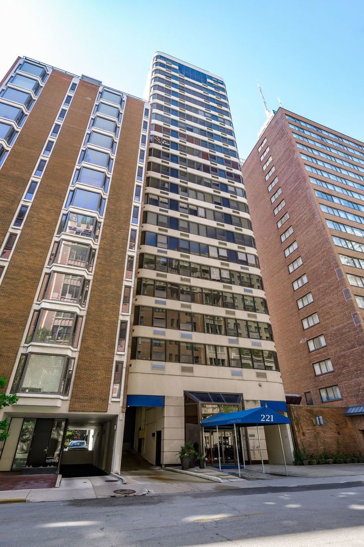 221 Walton Place, Chicago, IL 60611
