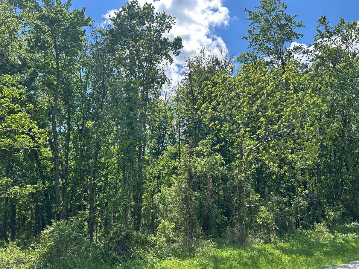 TBD Akin Blacktop, Benton, IL 62812