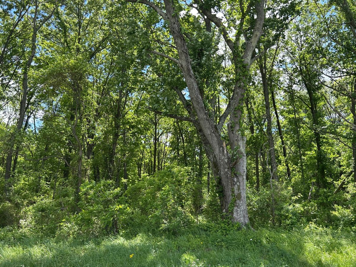 TBD Akin Blacktop, Benton, IL 62812