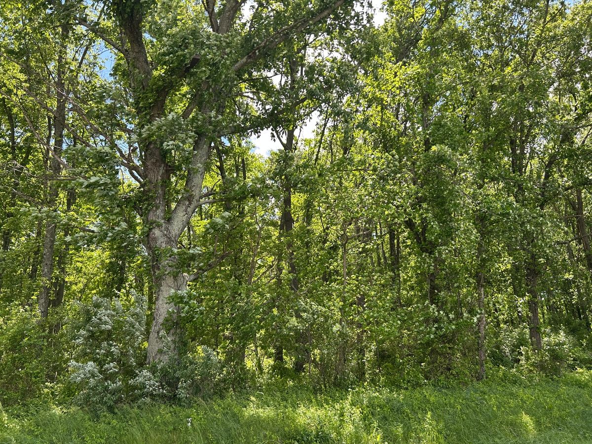 TBD Akin Blacktop, Benton, IL 62812