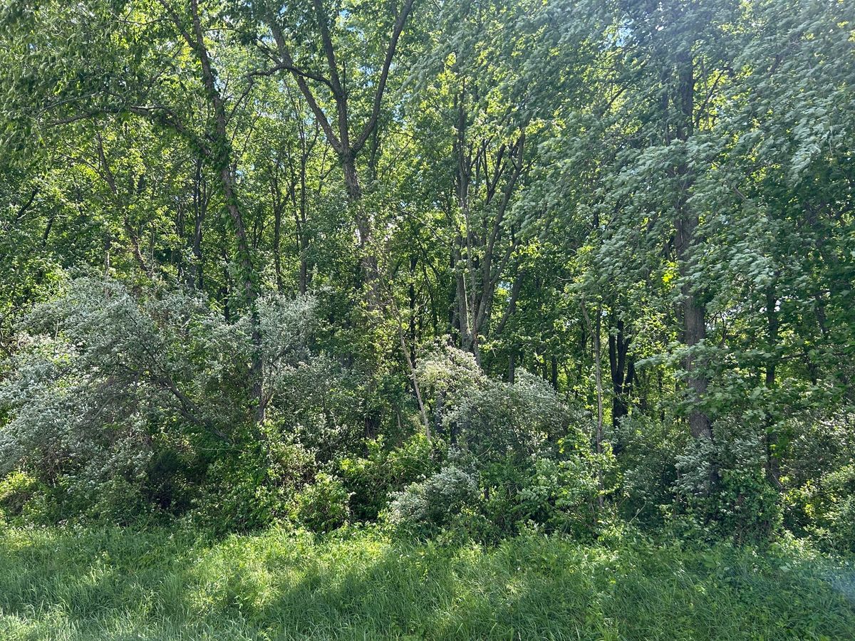 TBD Akin Blacktop, Benton, IL 62812
