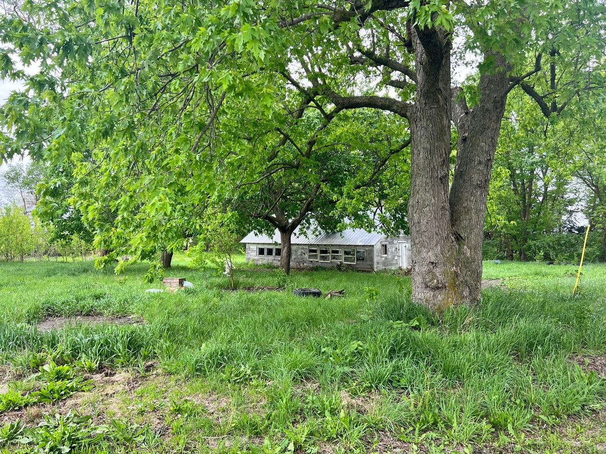 7054 E 4300 Road, Rankin, IL 60960