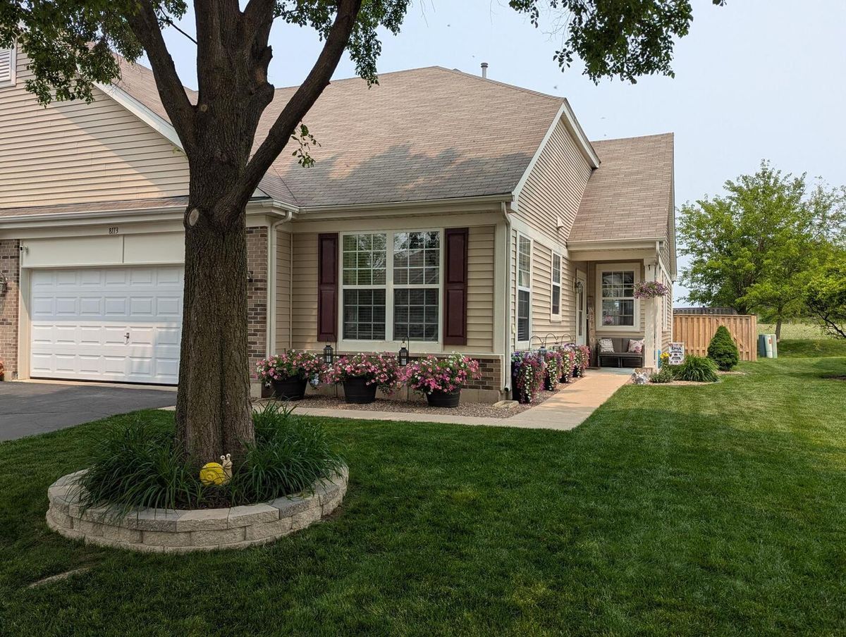 8113 Tremont Lane, Joliet, IL 60431
