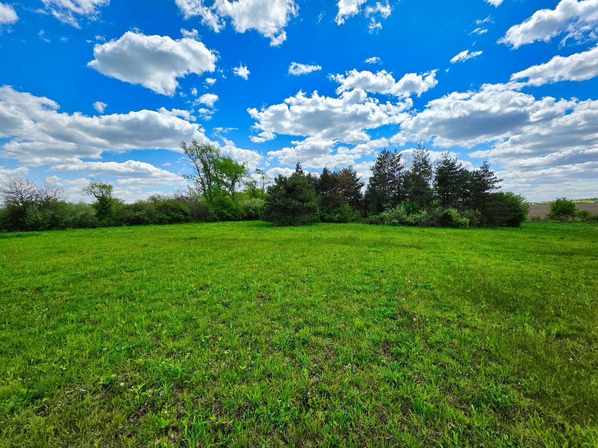 1947 Steger Road, Crete, IL 60417