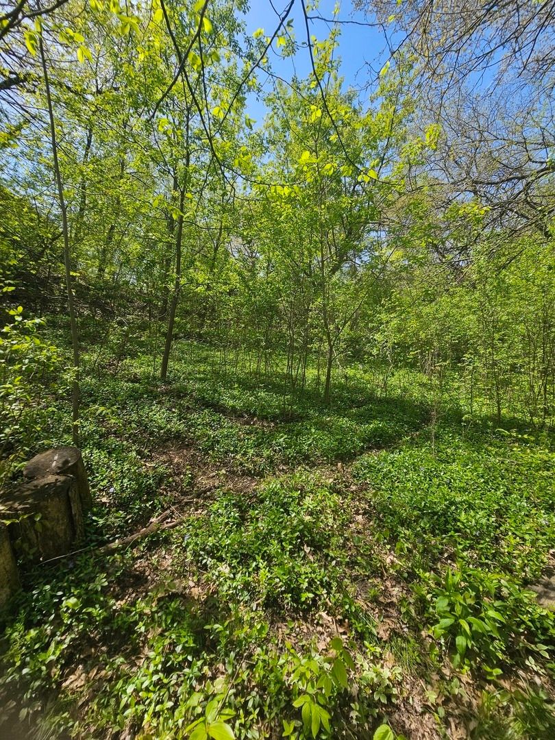 38581 Hillandale Drive, Spring Grove, IL 60081