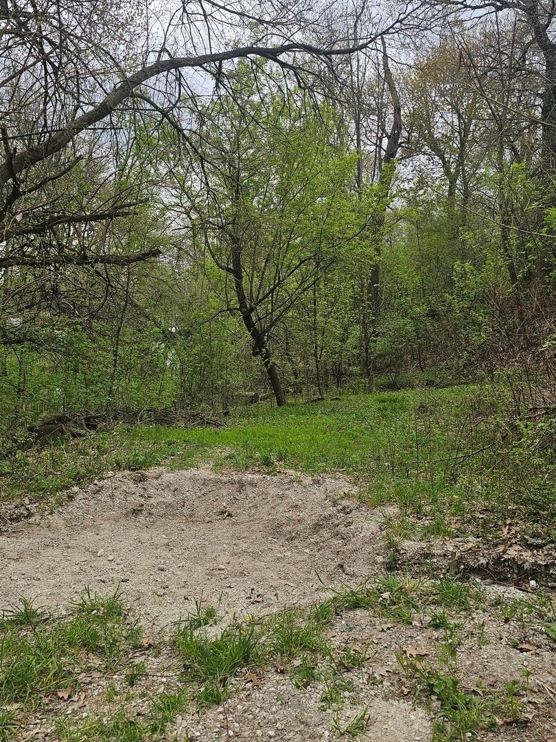 38581 N Hillandale Drive, Spring Grove, IL 60081