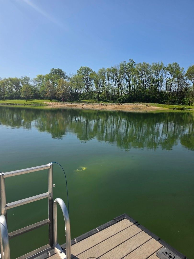 3111 Buena Vista Court, Sherrard, IL 61281