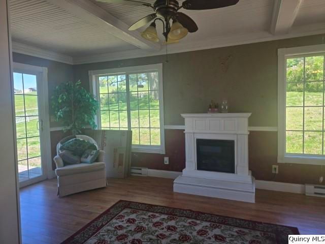 4 Riverview Drive, Nauvoo, IL 62354