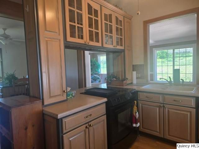 4 Riverview Drive, Nauvoo, IL 62354