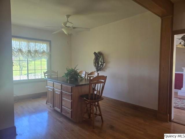 4 Riverview Drive, Nauvoo, IL 62354