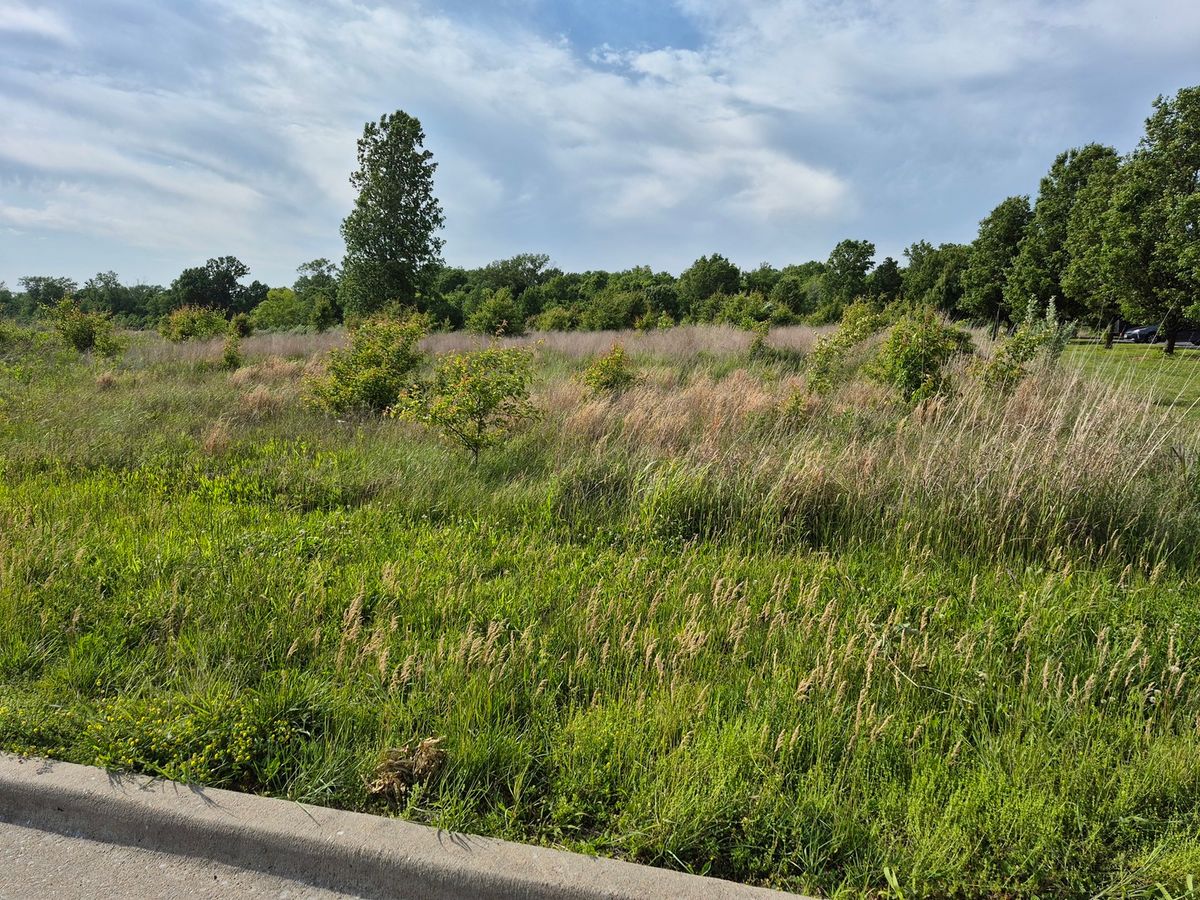 0000 Reed Station Parkway, Carbondale, IL 62901