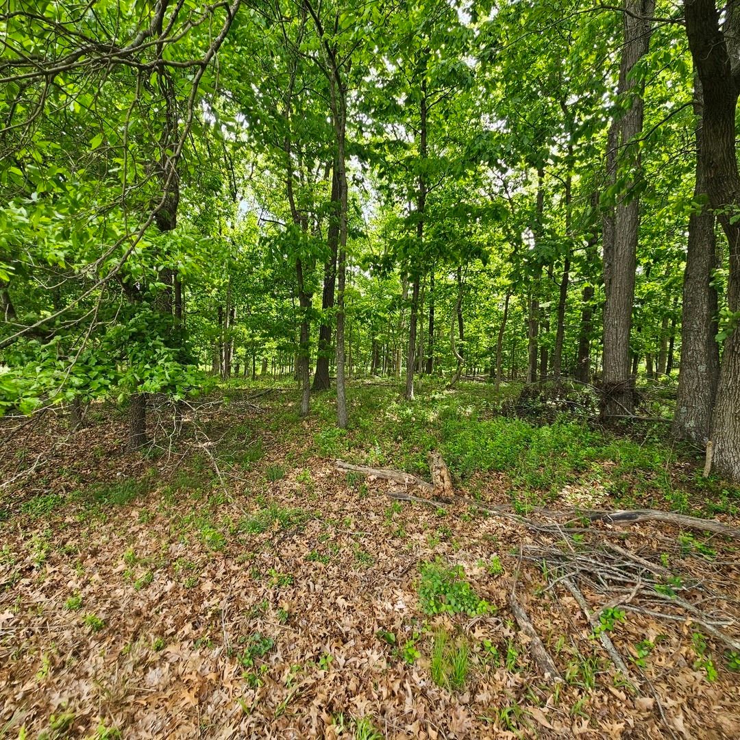 4143 Richview Road, Mt Vernon, IL 62864
