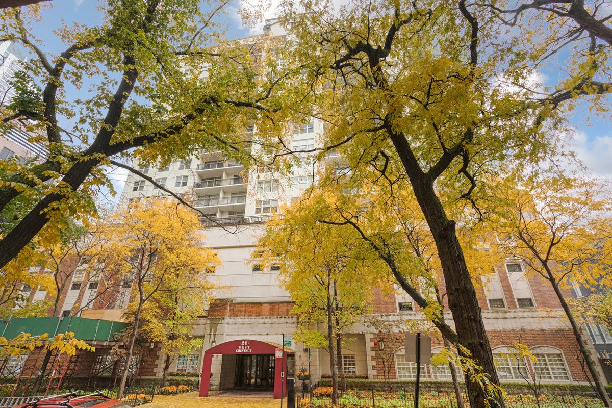 21 Chestnut Street, Chicago, IL 60610