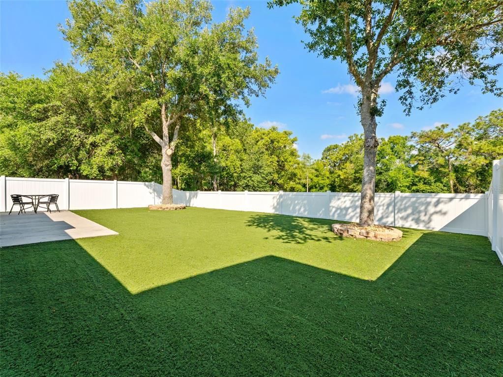 2101 Harcourt Place, Odessa, FL 33556