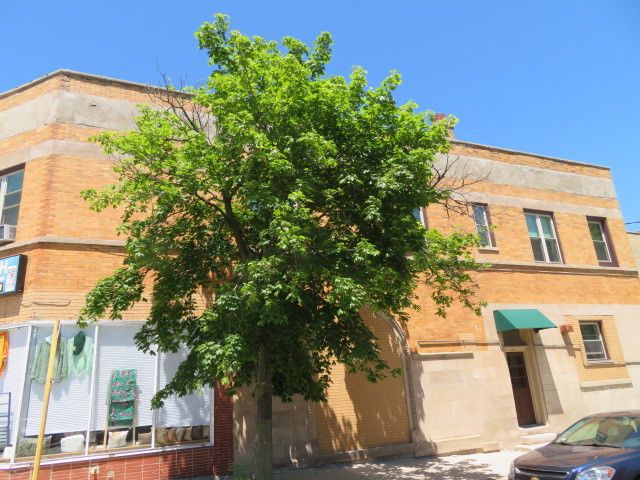 1552 Highland Avenue, Chicago, IL 60660