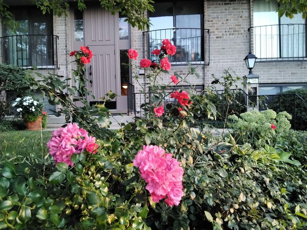 1706 Northfield Square #D, Northfield, IL 60093