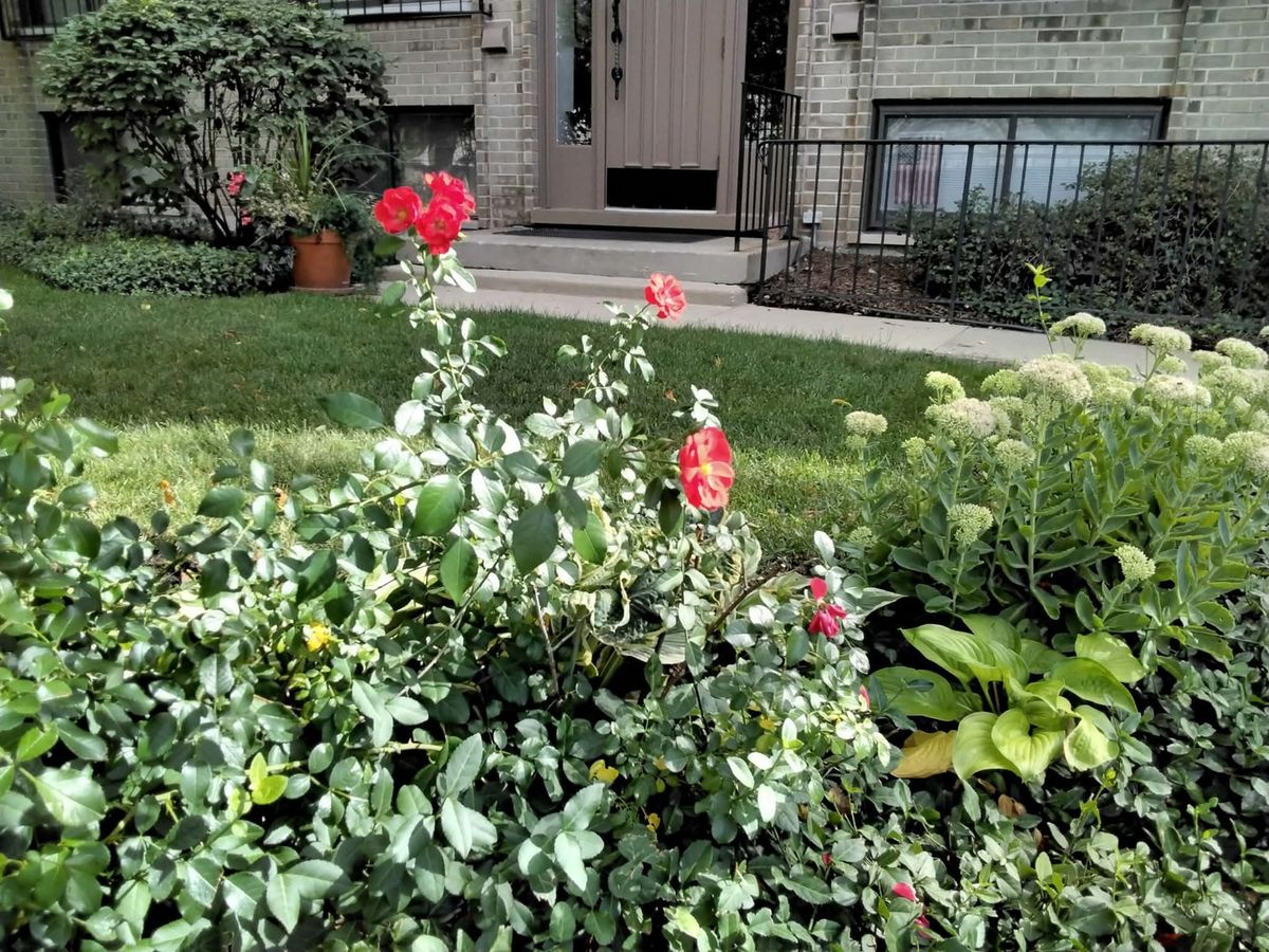 1706 Northfield Square #D, Northfield, IL 60093